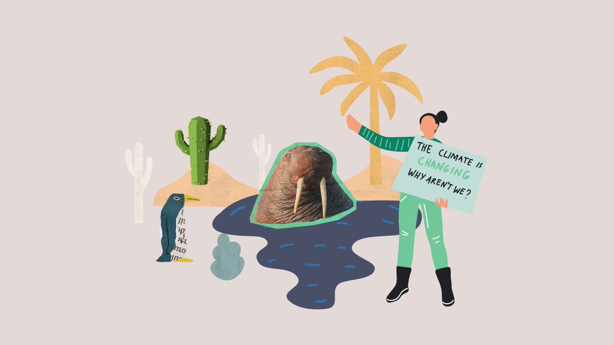 Suzanne van de Groep (@suzannevdgroep) on Twitter photo Wil jij weten hoe jongeren de klimaatcrisis beleven, en wat we kunnen doen om ze er bij te ondersteunen? Kom op maandag 13 mei naar ons stadscollege tijdens het Leven Lang Leren Festival:
tinyurl.com/5ubrww5d. Met <a href="/L_teBrinke/">Lysanne te Brinke</a> <a href="/noura_e/">Noura</a> <a href="/AnneWilKramer1/">Anne-Wil Kramer</a> <a href="/erasmusuni/">Erasmus University</a> Wil jij weten hoe jongeren de klimaatcrisis beleven, en wat we kunnen doen om ze er bij te ondersteunen? Kom op maandag 13 mei naar ons stadscollege tijdens het Leven Lang Leren Festival:
tinyurl.com/5ubrww5d. Met <a href="/L_teBrinke/">Lysanne te Brinke</a> <a href="/noura_e/">Noura</a> <a href="/AnneWilKramer1/">Anne-Wil Kramer</a> <a href="/erasmusuni/">Erasmus University</a>