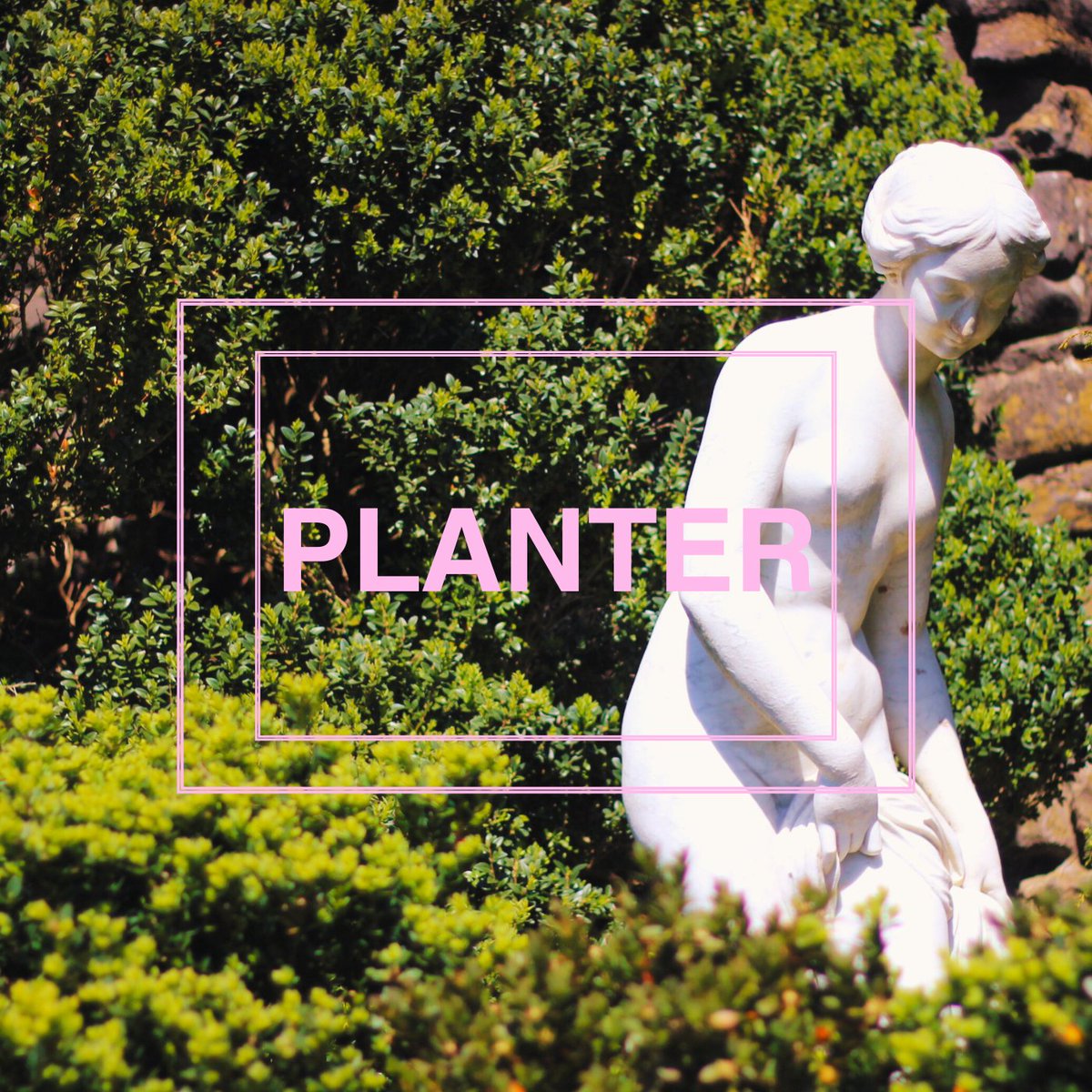 'This is a song about empty houses, and empty gardens, and talking with other versions of yourself' 😭 @95corolla's 'PLANTER' is finally here. Stream it now ⬇⬇ 95COROLLA.lnk.to/PLANTER