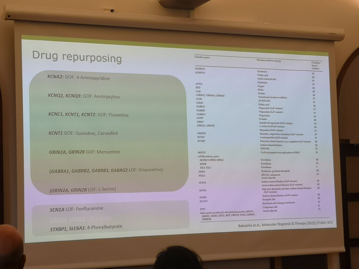 Alessandra Rossi (@alerossineuro) on Twitter photo Amazing start of the second day at #DICE2024. The ambition of <a href="/FiladelfiaGene1/">Rikke S. Møller</a> is always high: to provide an updated perspective of #epilepsy genetics and precision medicine. <a href="/TorieRobinson10/">Torie Robinson 🇺🇦</a> <a href="/Elegardella/">Elena Gardella</a> <a href="/a_brunklaus/">Andreas Brunklaus</a> <a href="/AledoNeuro/">Ángel Aledo-Serrano</a> @Philip_K_Ahring <a href="/Vivian_WY_Liao/">Vivian Liao</a> <a href="/FrancescaFuria_/">Francesca Furia</a> Amazing start of the second day at #DICE2024. The ambition of <a href="/FiladelfiaGene1/">Rikke S. Møller</a> is always high: to provide an updated perspective of #epilepsy genetics and precision medicine. <a href="/TorieRobinson10/">Torie Robinson 🇺🇦</a> <a href="/Elegardella/">Elena Gardella</a> <a href="/a_brunklaus/">Andreas Brunklaus</a> <a href="/AledoNeuro/">Ángel Aledo-Serrano</a> @Philip_K_Ahring <a href="/Vivian_WY_Liao/">Vivian Liao</a> <a href="/FrancescaFuria_/">Francesca Furia</a>