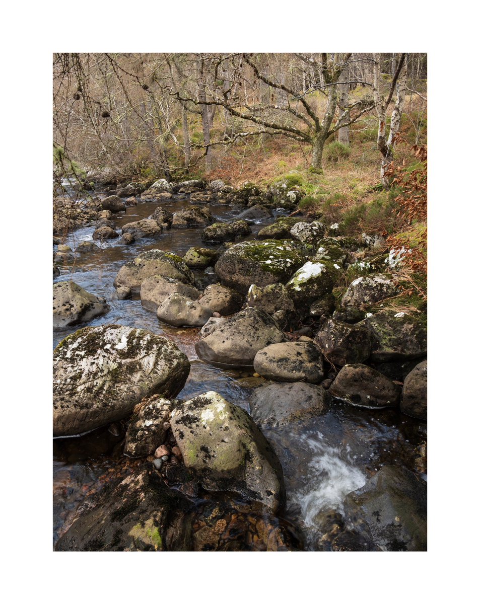 Melle of madness. No space only nature. A wild scene on the way back from a day at the coast. Looking for unique locations this roadside melle of madness. Of course not people but trees and rocks. Love the chaos of this scene. #chaos #nature #scotland #riverflows
