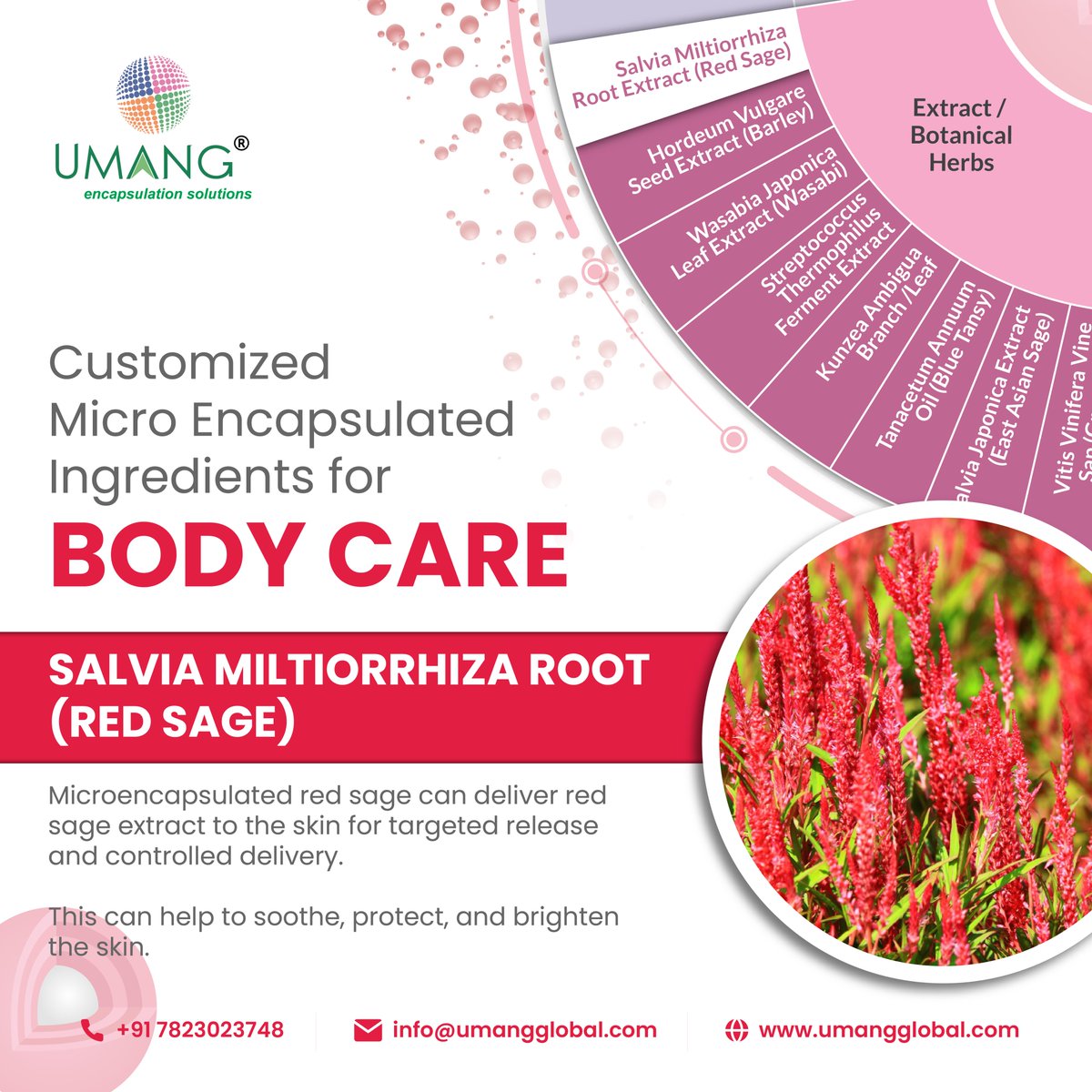 Contact us for more details.
umangparticlescience.com
#umangglobalgroup #encapsulation #essentialoils  #customizedsolutions #redsage #rootextract #ingredients #BodyCare #umangbudhraja