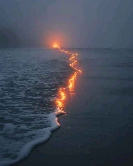 Fire in the ocean.
art by Sara Shakeel