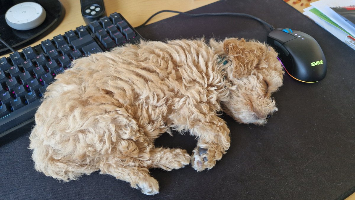 'I'm terribly sorry, I'm having a technical issue this morning.' 🥰