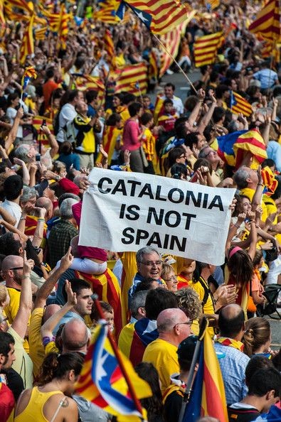 Bon dia companys i companyes de la lluita.
Bon dia catalans i catalanes que estimeu la vostra terra.
Recordeu el dia 12. Qui es el enemic.
Visca Catalunya lliure i sobirana i sempre més Puta Espanya #Dui #lliridemerda #nioblitniperdó #putaEspanya #nioblitniperdó