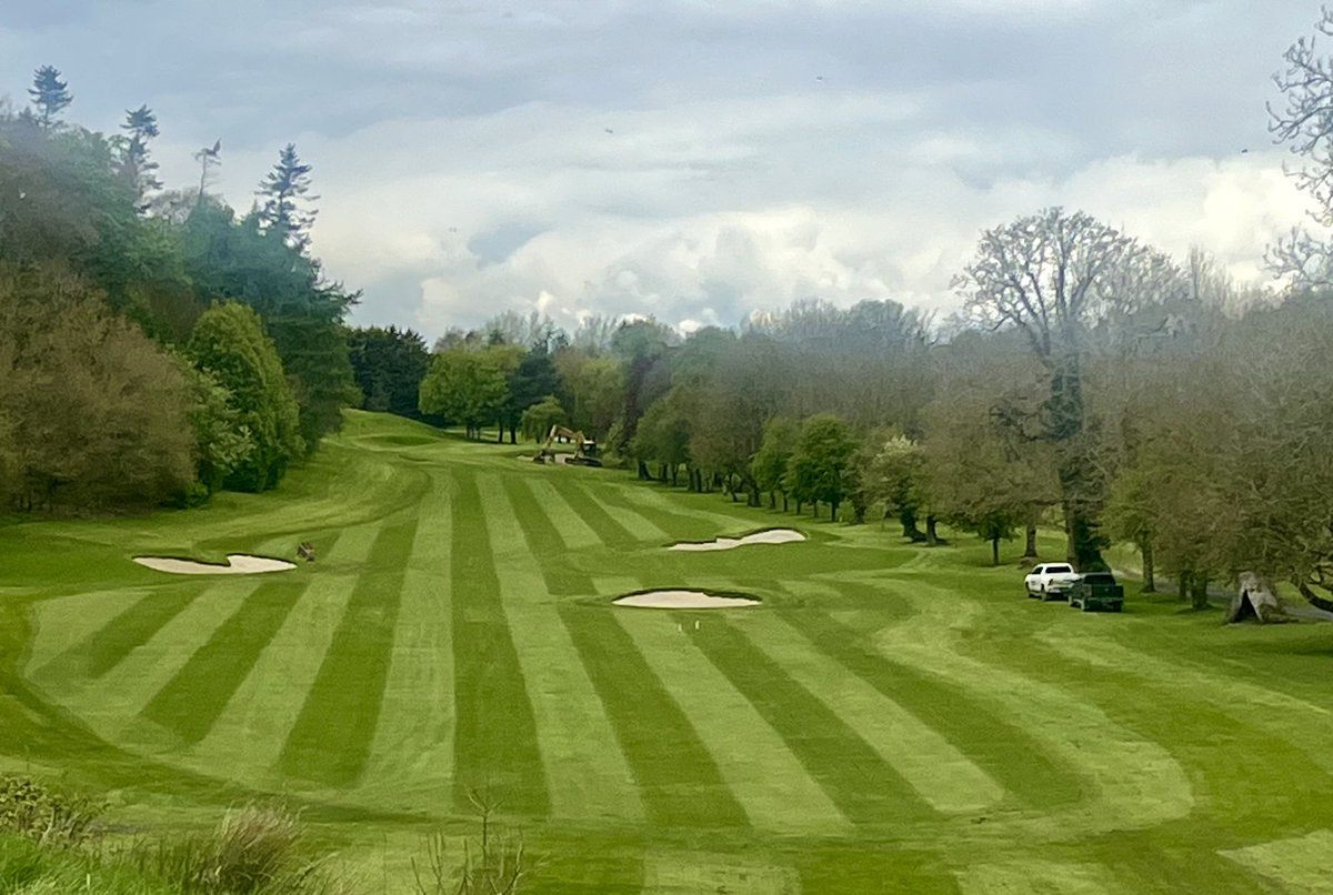 David Behan tweet media