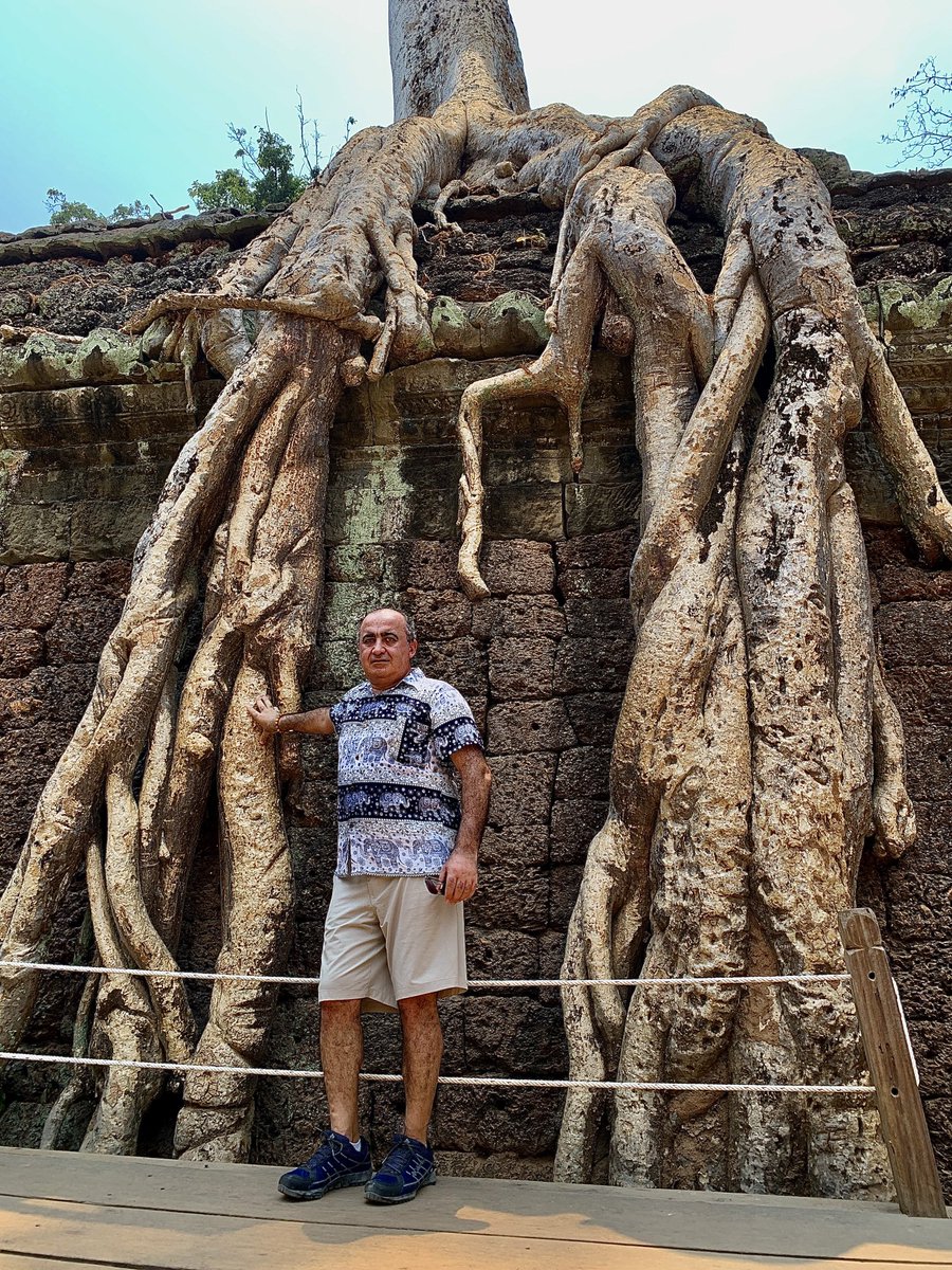 Kökler toprağa ulaştığındaki sonuç…
#AngkorWat