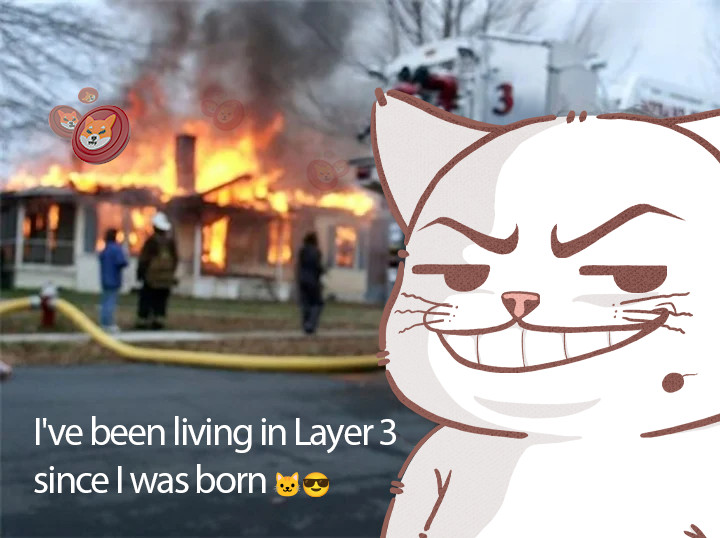 @ShibainuCoin: 'Layer 3 finally after 5 years! 🚀 
Wormeow: ''I've been living in Layer 3 since I was born'' 🐱😎
#wormeow #meaneyes #layer3