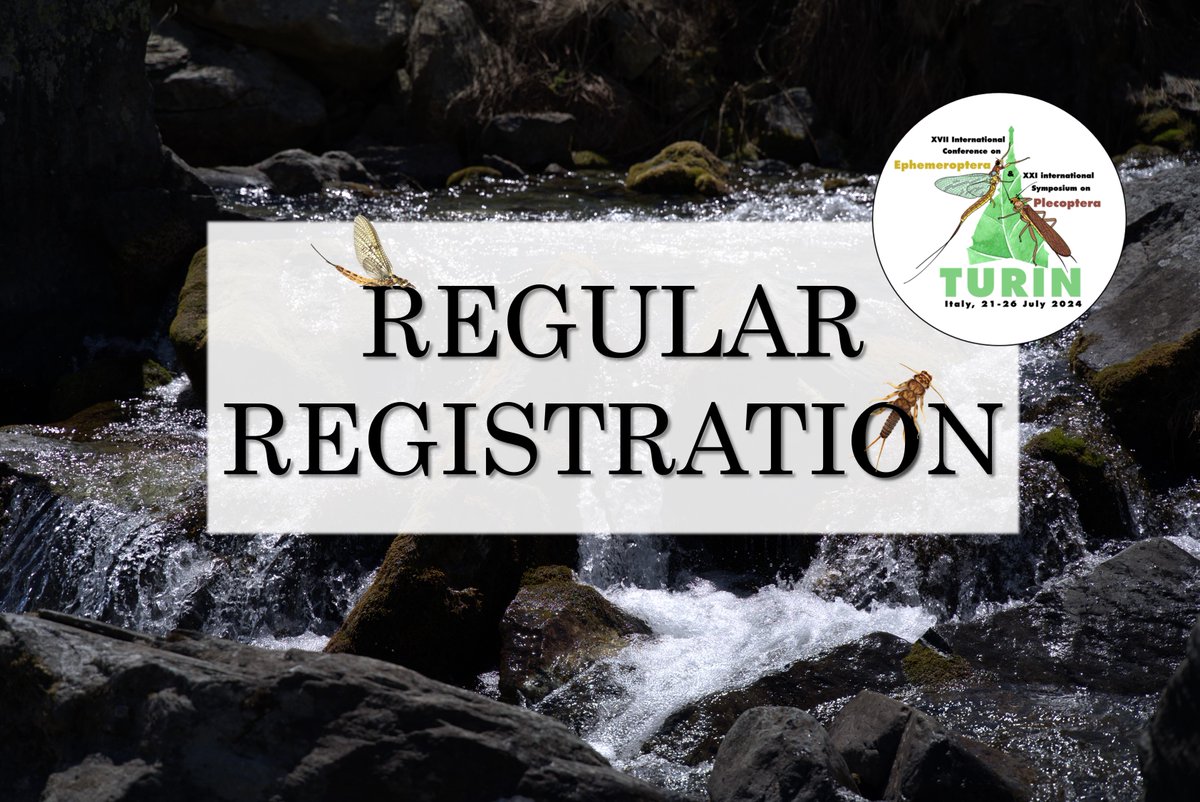 Dear colleagues,
Preparations for the IJMEP 2024 progress successfully . The early registration period finished the 15th of April and we are now in the regular registration period
We are excited and looking forward to seeing you in Turin!
All the best!
The organizing committee