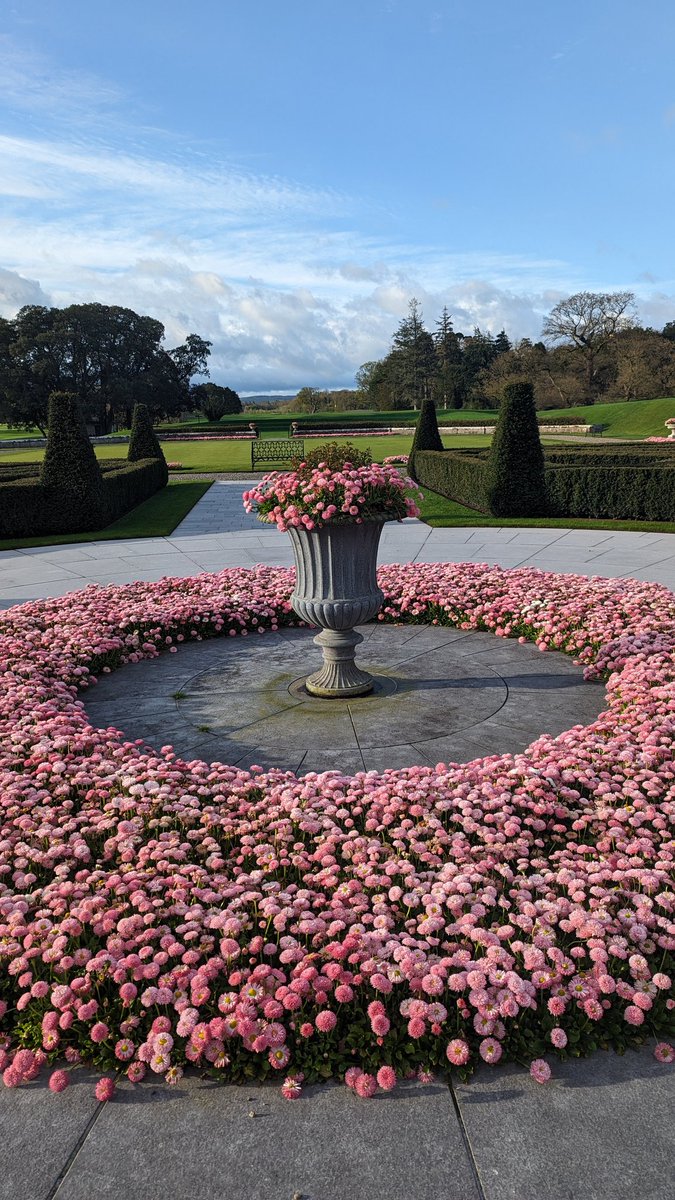 Check out my review of Adare Manor in  Irish Examiner's Weekend magazine tomorrow or read online now at irishexaminer.com/lifestyle/trav…