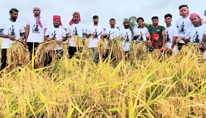 নেতার সাথে ধান কাটলে মানবতার ফেরিওয়ালা😁
আর বাপের সাথে কাটলেই কামলা! 
কি আজব তাই না??
মানসিকতা পরিবর্তন জরুরি।