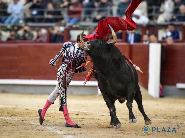 Ayer se vivió una de las mejores entradas de este siglo en la Plaza de Toros de Las Ventas en “La Goyesca” la corrida del #2deMayo Hoy el Gobierno de Sánchez vuelve a atacar una de nuestras tradiciones más arraigadas, la tauromaquia. Quieren diluir la identidad de España.