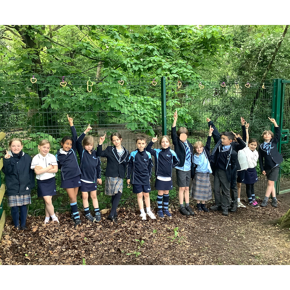 Eco club have been trying to support the number of birds we have at Gayhurst by providing them with a little extra food during these rainy days #Caringfornature #Feedthebirds #SiblingSchool #ELDRIC @GayhurstHM