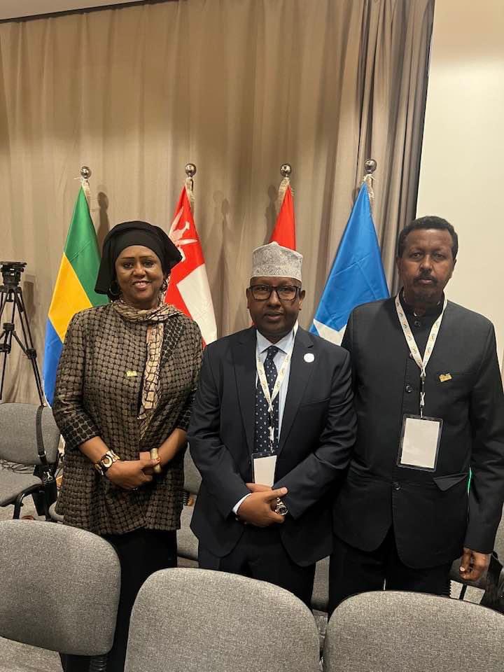 The Islamic Council of Foreign Ministers' meeting in #Banjul supported the stability, independence and territorial integrity of #Somalia. #OICSummitBanjul