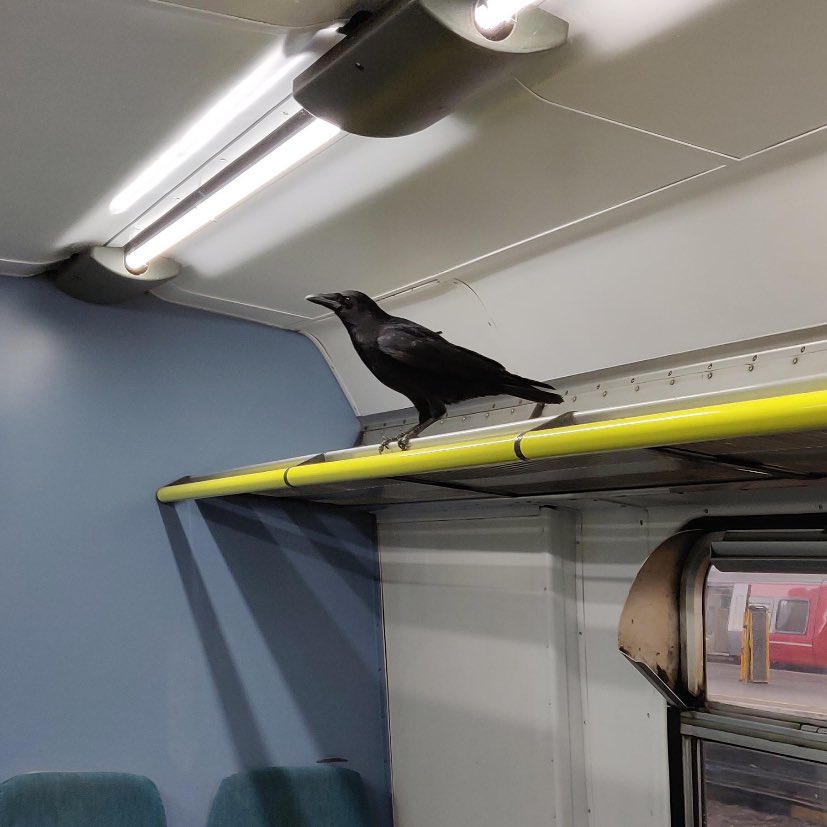 No Context Brits (@nocontextbrits) on Twitter photo 