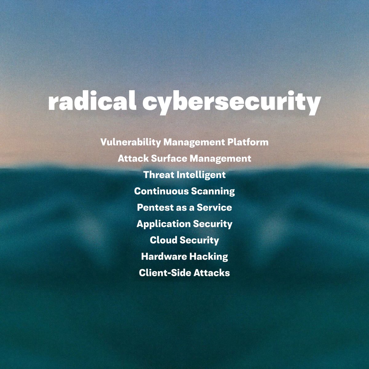 RADICAL CYBERSECURITY is finally out!!! 🔥 Listen up! faradaysec.com/services/