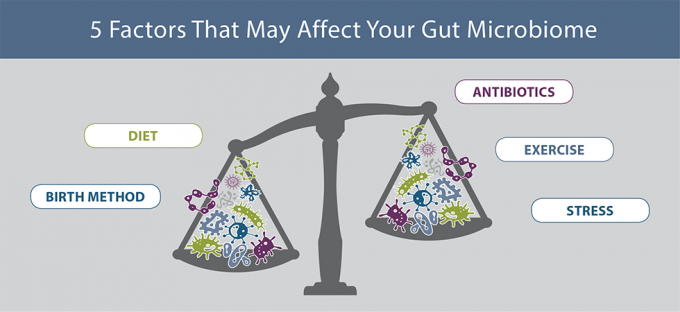 The gut #microbiome is influenced by more than just the food we eat. It's impacted by factors such as the mode of infant delivery and feeding, exercise habits, use of antibiotic medications, and stress. #GutHealth #health