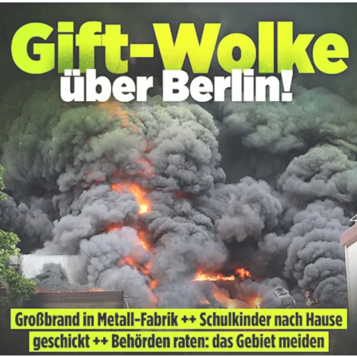 Keine Sorge. Es ist nur mild giftig. Zudem tut etwas Rauch den Lungen ganz gut, als Vorbereitung auf das Leben in der Großstadt. Letztlich will uns die Regierung nur zwingen, die Fenster zu schließen, um uns einzusperren: Velux-Diktatur!