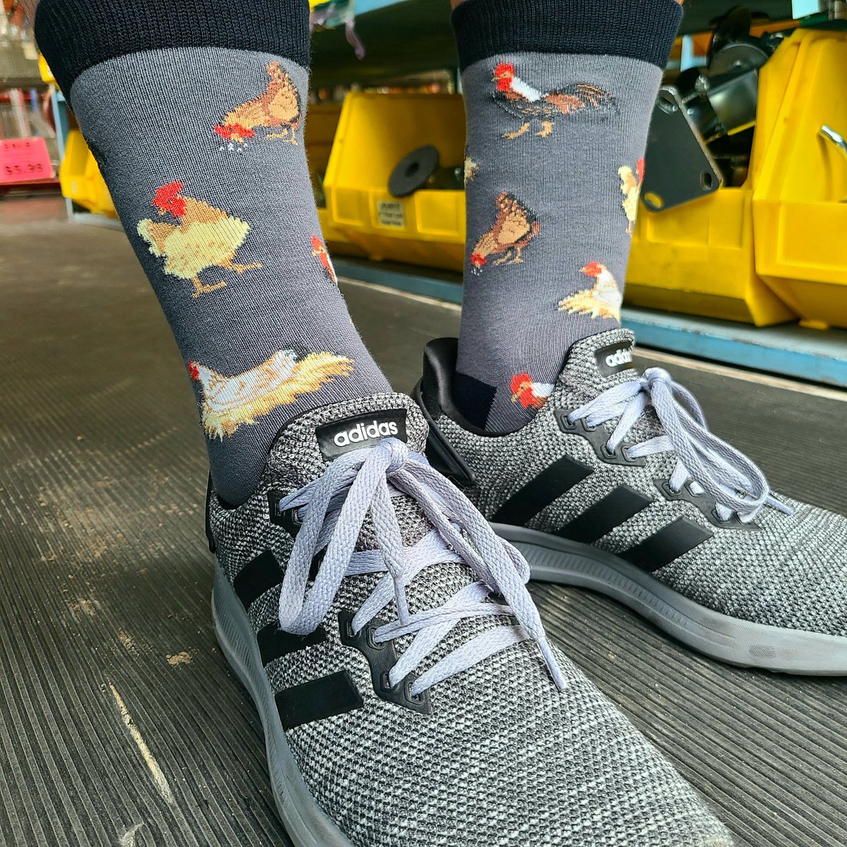 Chicken socks & adidas Lite Racer BYD 2.0 #chicken #chickens #whatsupchickenbutt #chickensocks #popculture #socksofinstagram #shoesofinstagram #adidas #literacer @adidas @adidasrunning #shoegame #literacer #YESadidas #threestripes #threestripelife