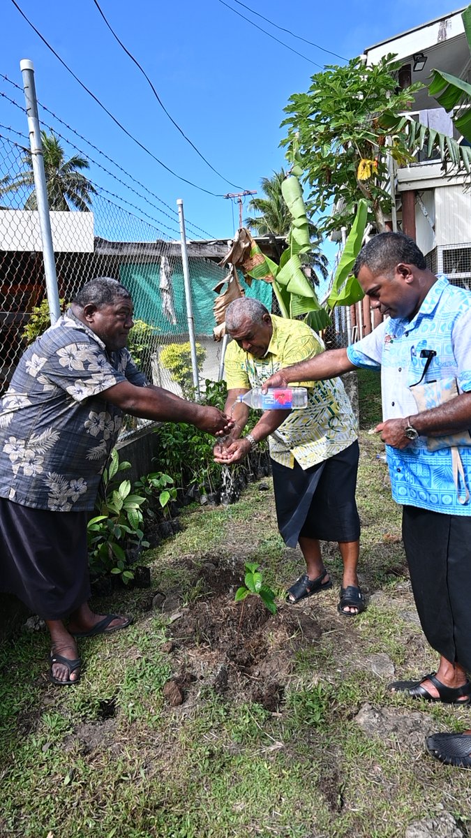 Minister for @forestry_fiji, Hon. Kalaveti Ravu and his team distributed 1100 seedlings of Kumquat, Kavika and Vesi trees amongst Levuka, Bureta, Nasinu and Lovoni villages during his two-day tour of Ovalau which concluded today.