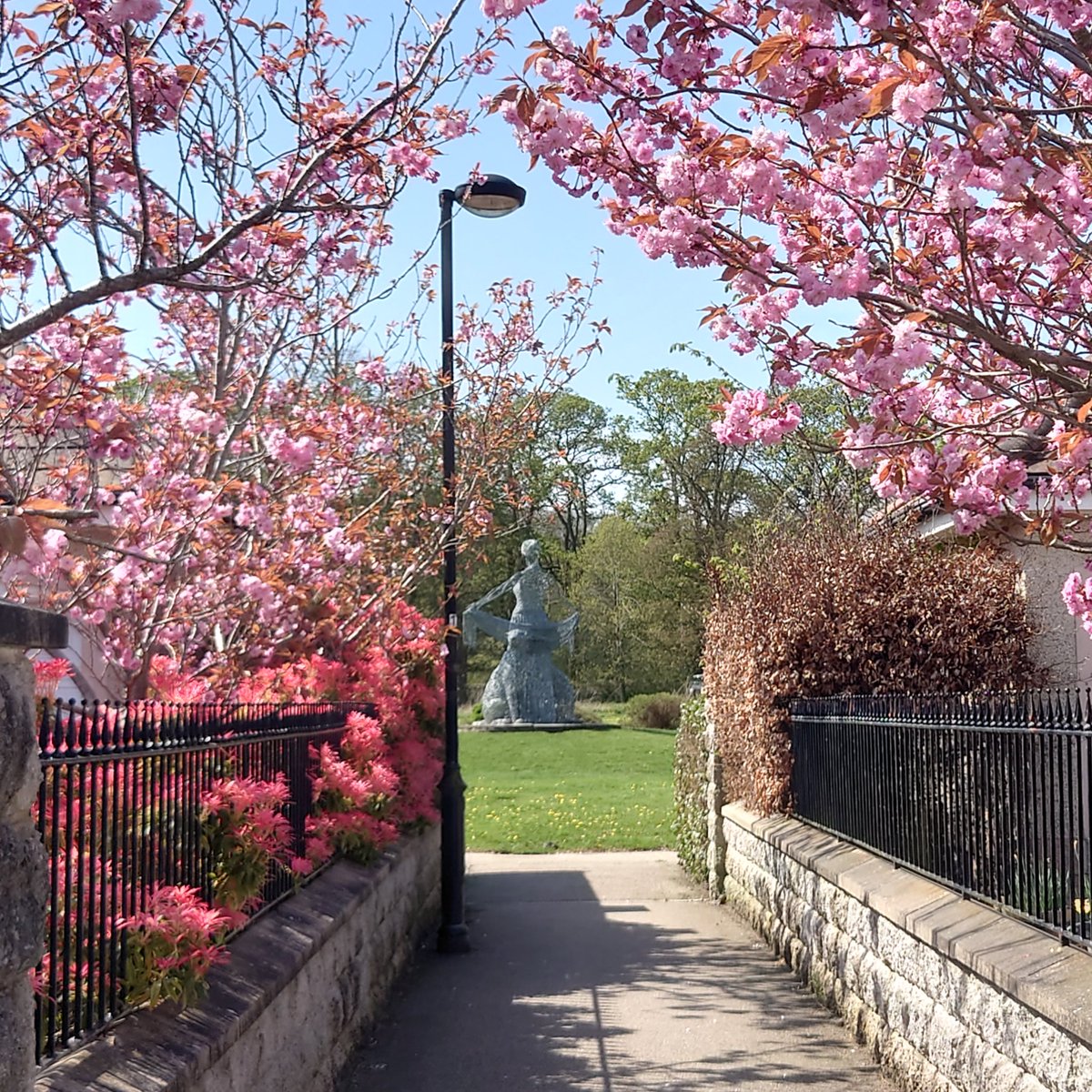 Glorious weather in Grandholm this morning! Lots of leafletting done too #AberdeenNorth #ScottishLabour #GeneralElection2024 #GeneralElectionNow