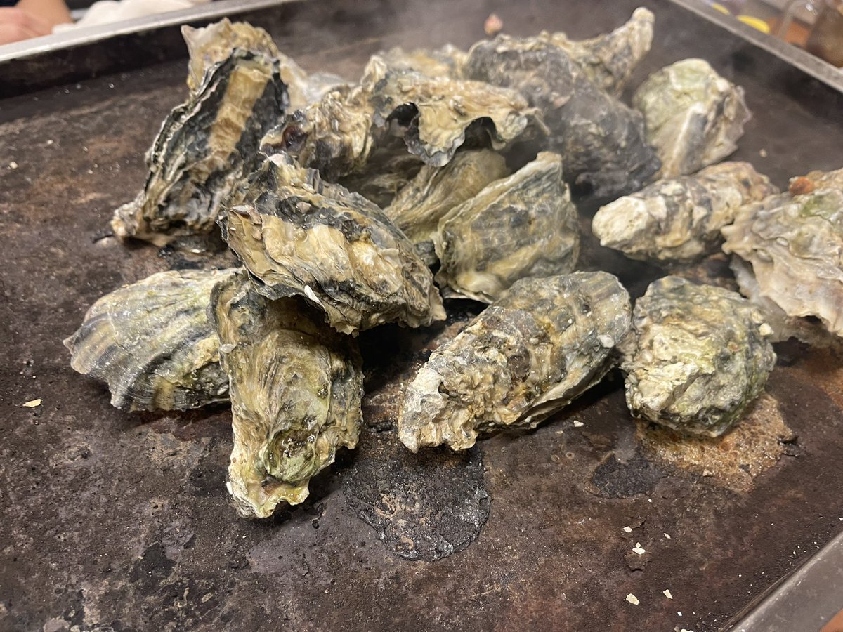 YusukeCiel's tweet photo. 全ての牡蠣を食べつけせ！90分一本勝負！！
カキパ開始！ https://t.co/9EpCwHMAnJ