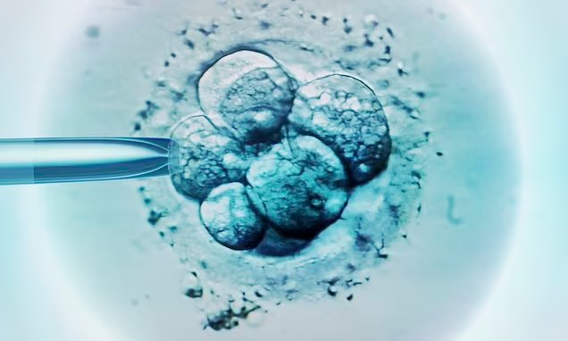 IVF babies at greater risk of leukaemia, study finds - but experts claim older, 'less fit' parents could be to blame
@WHO