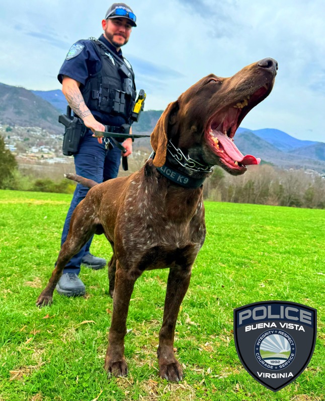 K9 Hans of Buena Vista PD, VA has great news to share! Hans has been awarded a ballistic vest from #VIK9s. Stay safe and wear it well Hans! Learn how you can help  protect K9s at: bit.ly/4d9rXzj

#K9Vest #K9ProtectiveGear #VestedInterestInK9s #SupportVestedInterestInK9