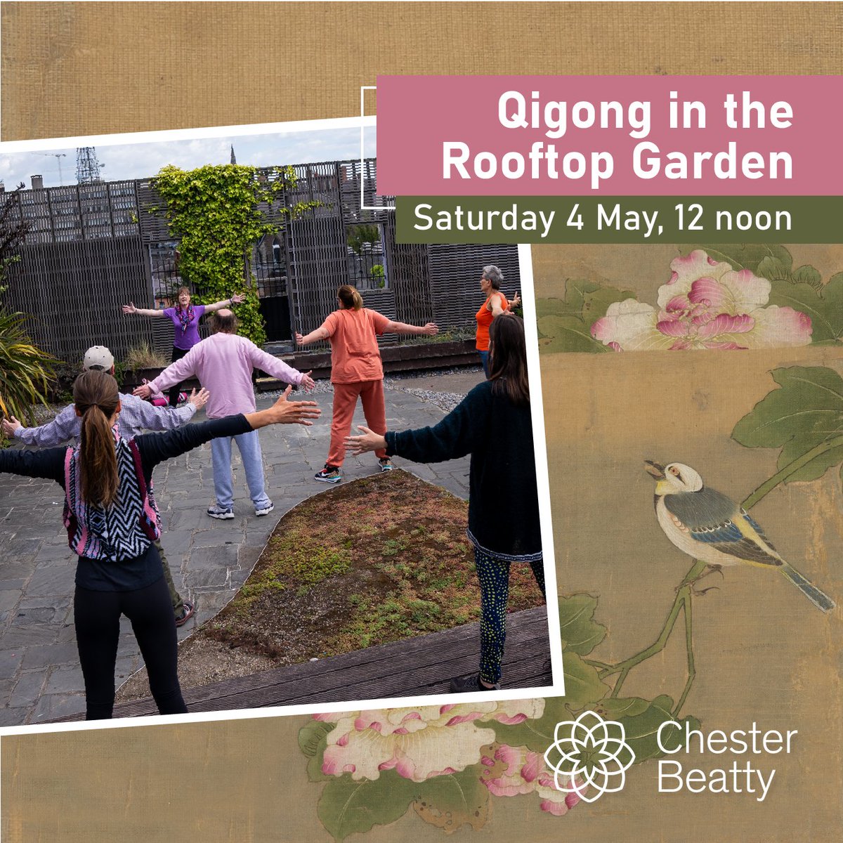 Qigong is a traditional Chinese form of meditation. Join us for a gentle practice outdoors (weather permitting) or indoors with a view of the roof garden. Suitable for all ages. Limited to 20 participants. FREE, no booking required. #LoveDublin #ChesterBeatty #Well-being