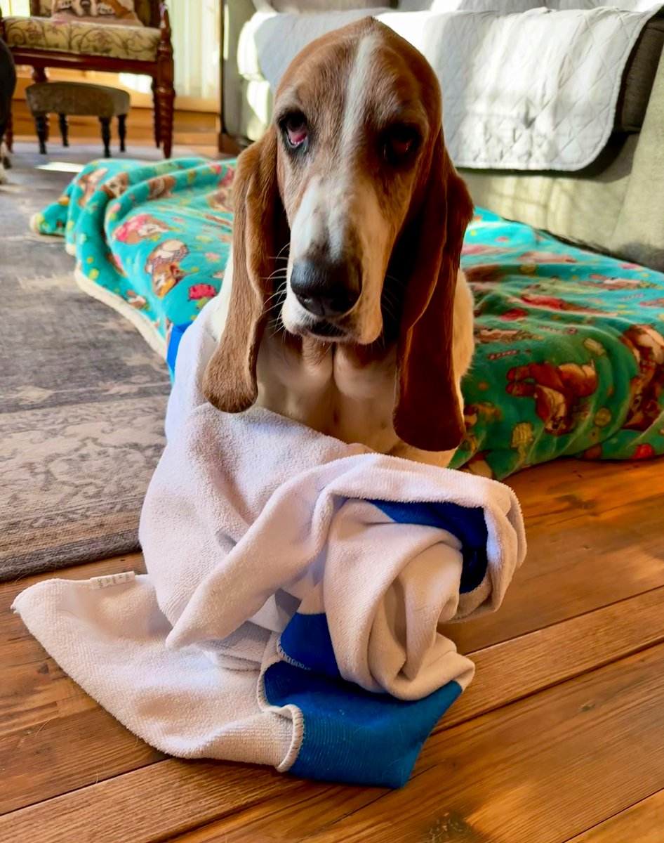 Charlene, Jill’s looking for her blanket!