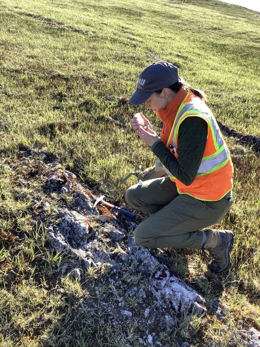 Here @virginia_energy field geologist Holly Mangum places drops of dilute hydrochloric (hcl) acid on rocks to determine the type of carbonate minerals present. Common carbonate minerals are calcite, which will fizz a lot, and dolomite, which will fizz weakly. #FieldworkFriday