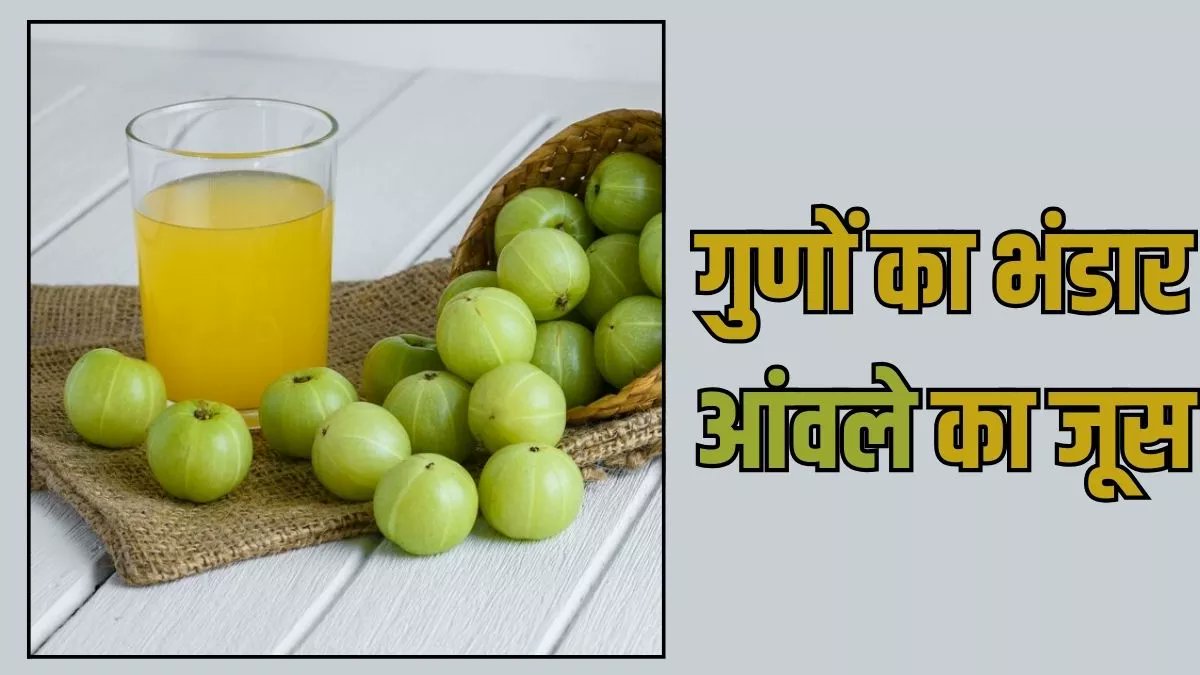 Amla Juice Benefits: कई बीमारियां और समस्याएं रहेंगी कोसों दूर, अगर रोजाना खाली पेट पिएंगे आंवले का जूस

hindi.newsboxer.com/blog/blogdesc/…

#healthnews #amlajuice #Amla #disease #healthylifestyle
#healthyhabits #HealthyTips