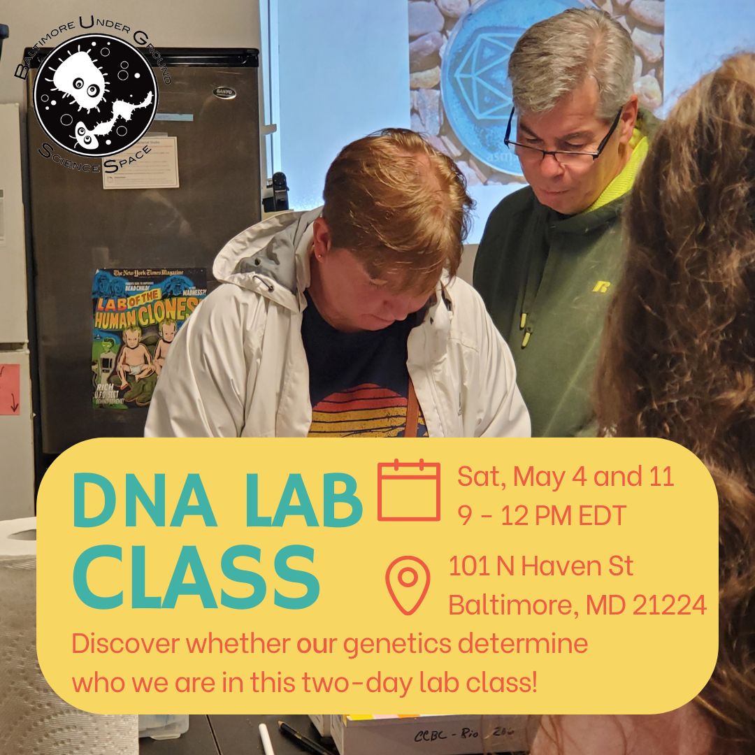Do our genetics determine who we are? Find out in this 2-day class starting this weekend! Genotype yourself for a variant in the serotonin transporter gene (SLC6A4), associated with stress resiliency! tinyurl.com/22a69vnn 🧬 #Class #Environment #Genes #StressResiliency #Lab