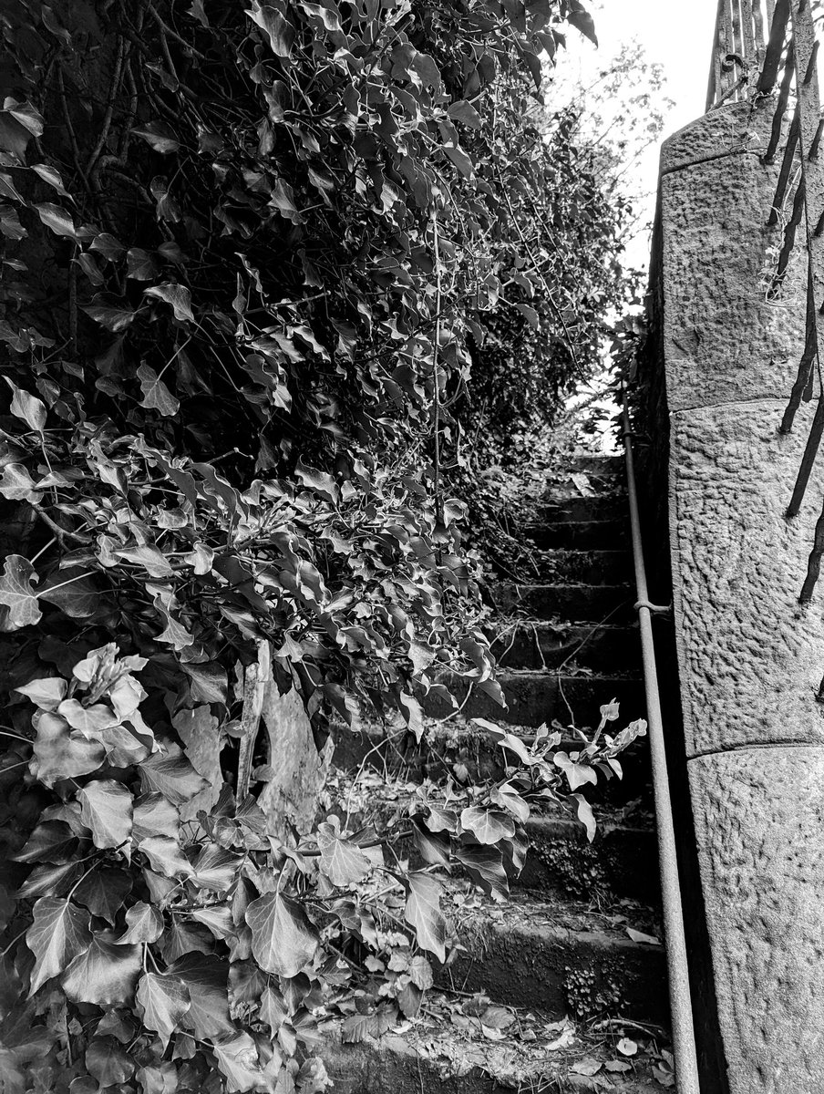 Ian Fraser tweet media