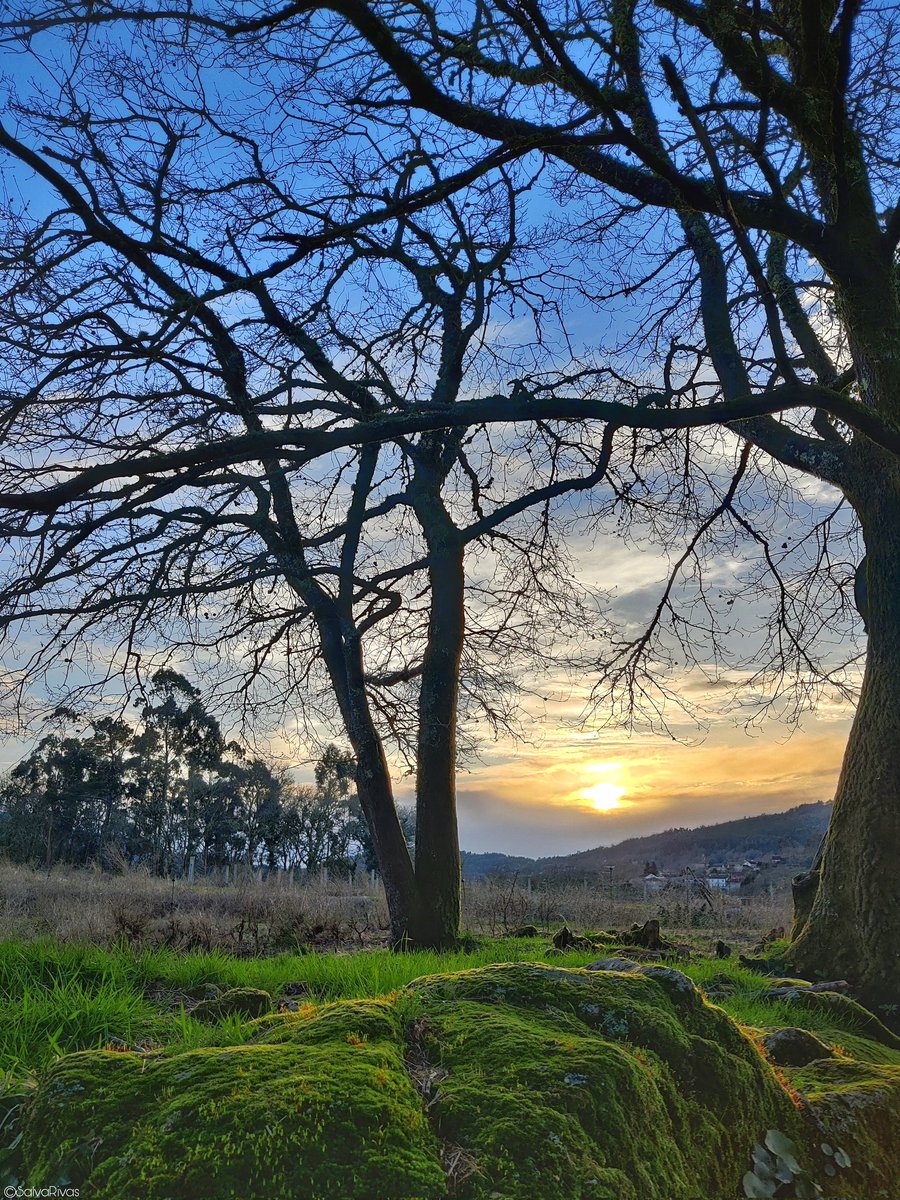 Zona Zen. Ó solpor, antes da chegada da choiva 🍀🧬☔🌄.

Boa tarde  chiador@s!

📷📌 Val do Umia.

#Photography #photo #mobilephotography #nature #natureza #naturaleza #landscape #sunset #Spring  #Countryside  #Galicia  #Galiza