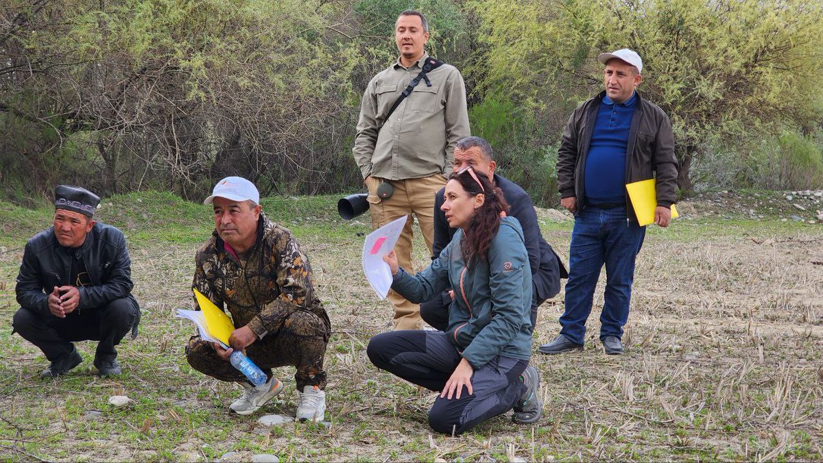 💪 Monitoring training for Rangers in #transboundary #protectedareas of Zarafshan Valley in Uzbekistan and Tajikistan conducted by Succow Foundation team within @giz_gmbh ILUCA project [tinyurl.com/y5y8ksts] More ➡️ tinyurl.com/4bwwxrya
