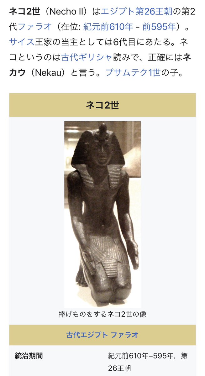 boutsu08's tweet image. 近くでネコが発情してる。ウアーオ