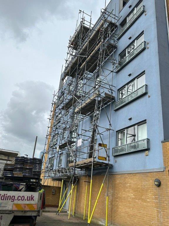 MillenniumScaffold tweet media