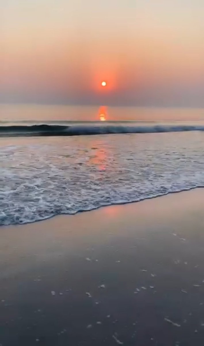 SUMIT_08M's tweet photo. Good Evening Everyone ❤️❤️
Happiness For All 🩵🩵
🥰@itsSSR 🥰
#LOVESSR 🩷
🦋 🦋 🦋
SSR Case Stalled By Politics 🤡
#JusticeForSushantSinghRajput𓃵
#BoycottBollywoodCompletely ❌ https://t.co/FAbhLlm00z