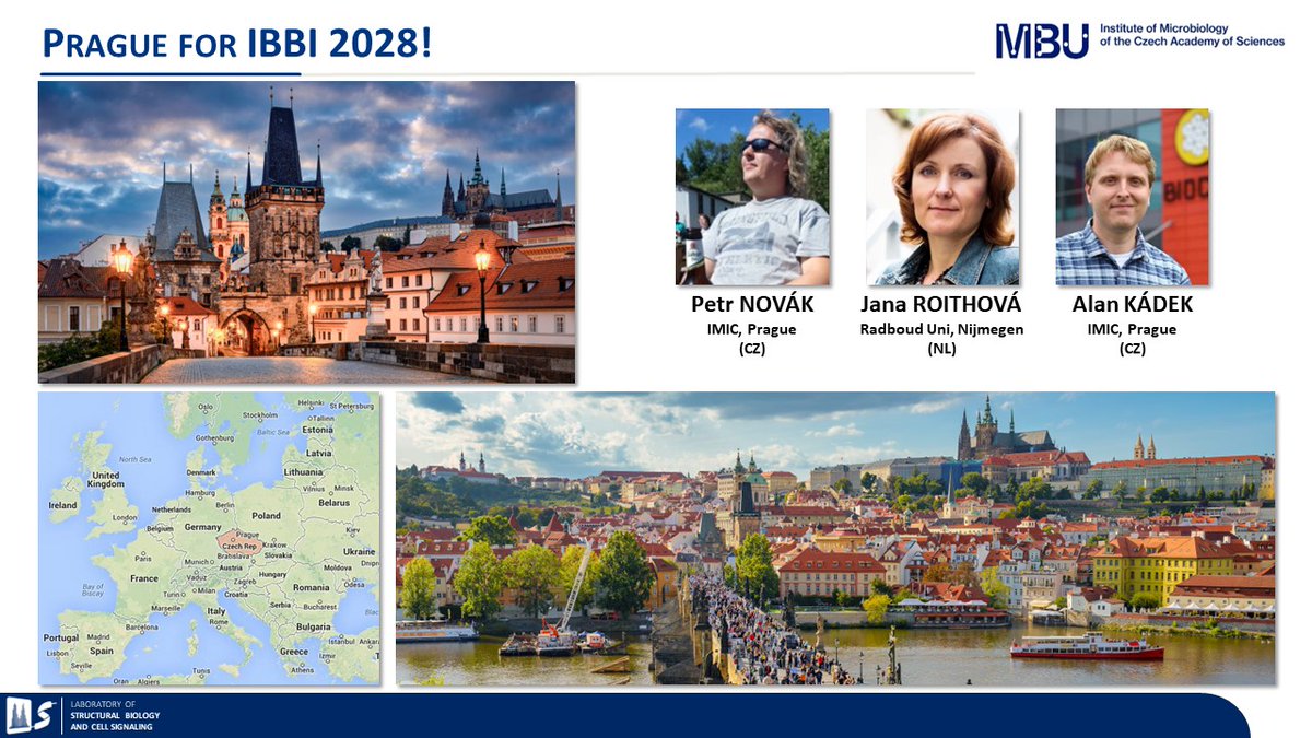 IBBI2024 tweet media