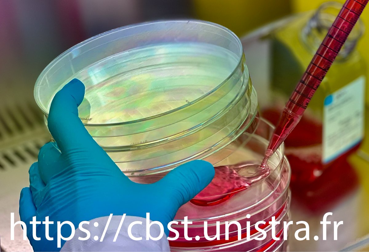 UMR 7199 Laboratoire CBST (@umr7199) on Twitter photo Le laboratoire CBST UMR 7199 <a href="/CNRSchimie/">CNRS Chimie</a> bénéficie d'un poste à la mobilité CNRS NOEMI pour un.e ingénieur-e en techniques biologiques. RT apprécié.
Plus d’information ici : mobiliteinterne.cnrs.fr Le laboratoire CBST UMR 7199 <a href="/CNRSchimie/">CNRS Chimie</a> bénéficie d'un poste à la mobilité CNRS NOEMI pour un.e ingénieur-e en techniques biologiques. RT apprécié.
Plus d’information ici : mobiliteinterne.cnrs.fr