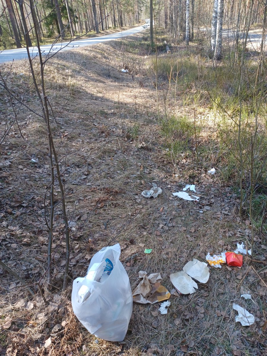Olen roskien keruuretkellä @LappeenrantaFi Rauha-Tiuruniemi tien varrella 

Yleisimmät roskat: nuuskarasiat ja lonkero sixpackin muovikääreet sekä @McDonaldsFI pikaruokakääreet 

#roskaaminen #MiljoonaRoskapussia