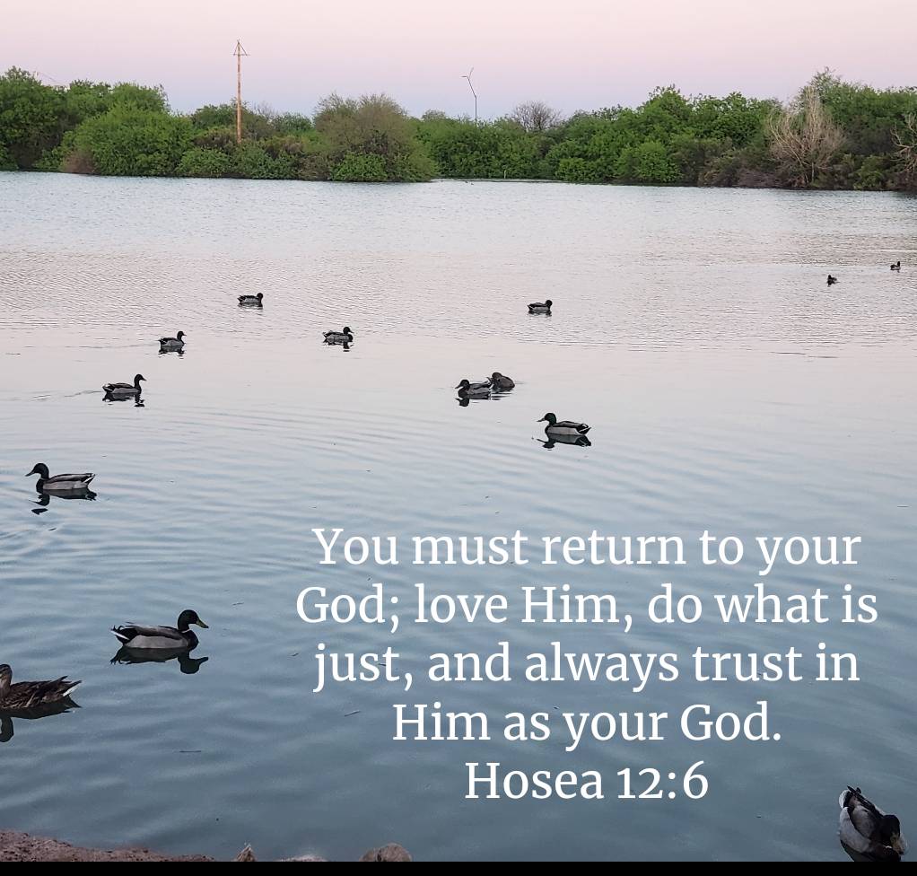 #Return   #Love   #Just   #Trust
#TheWord
#JesusSaves
#TheMessageDaily