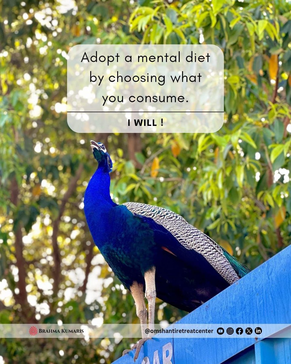 Feed your mind wisely. Choose your mental diet carefully. Follow us @OMSHANTIRETREAT for daily wisdom! #MindfulConsumption #HealthyMind #SelfCare #omshanti #brahmakumaris #omshantiretreat