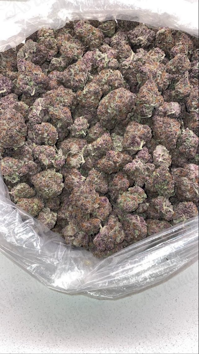 Forbidden fruit 🍉
$700 #CannabisClubs #cannabisindustry #Legalizelt #weedgirl