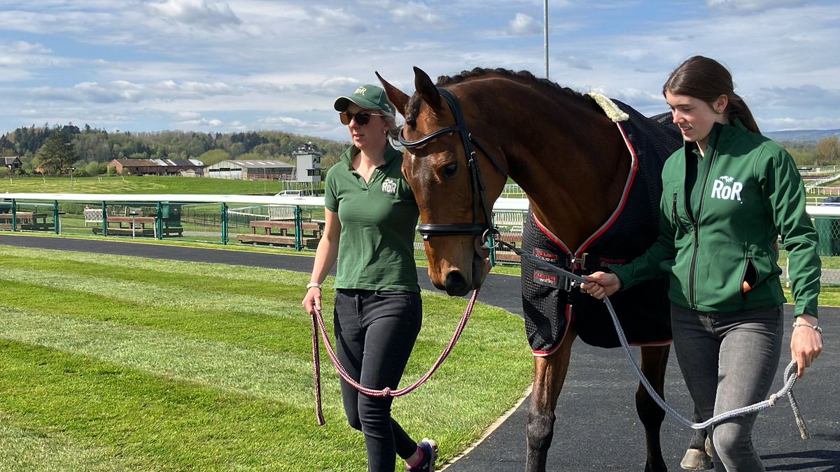 Brilliant to see 3 brand new #HorsesForCourses ambassadors out and about across the country in April: 🐴Sleepy Haven @BangorRaces 🐴 Fortunate George @wincantonraces 🐴Step Back @Sandownpark Find out more: ror.org.uk/.../rorhors...… #horsesforcourses #exracehorse #LoveYourRoR