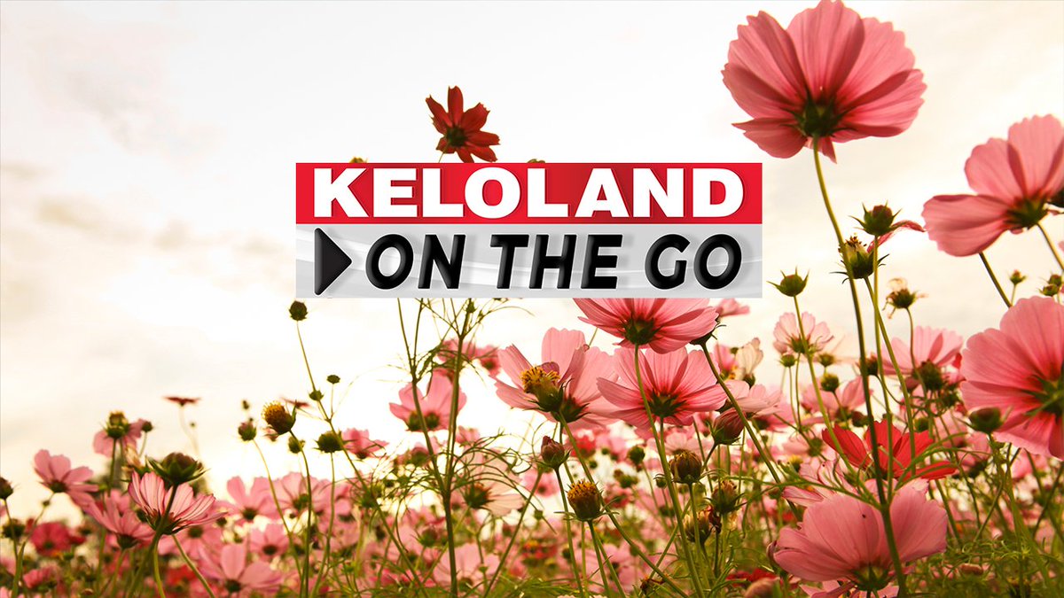KELOLAND On The Go Friday, May 3 🚨Tip lands man in jail for child porn 🚒Firefighter gear stolen in Rapid City 🍔New sports bar opens in eastern SF trib.al/EVTdpZ3