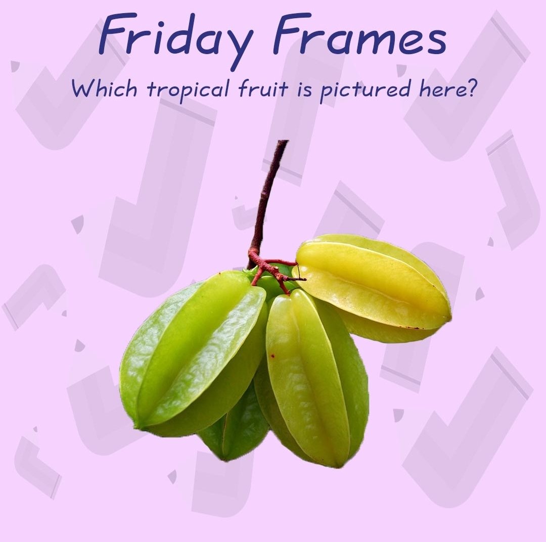 Feeling fruity in time for the weekend? You will after this!

Thursday Themes answer: Denzel Washington

#toponequiz 
#picturequiz 
#dailypuzzle