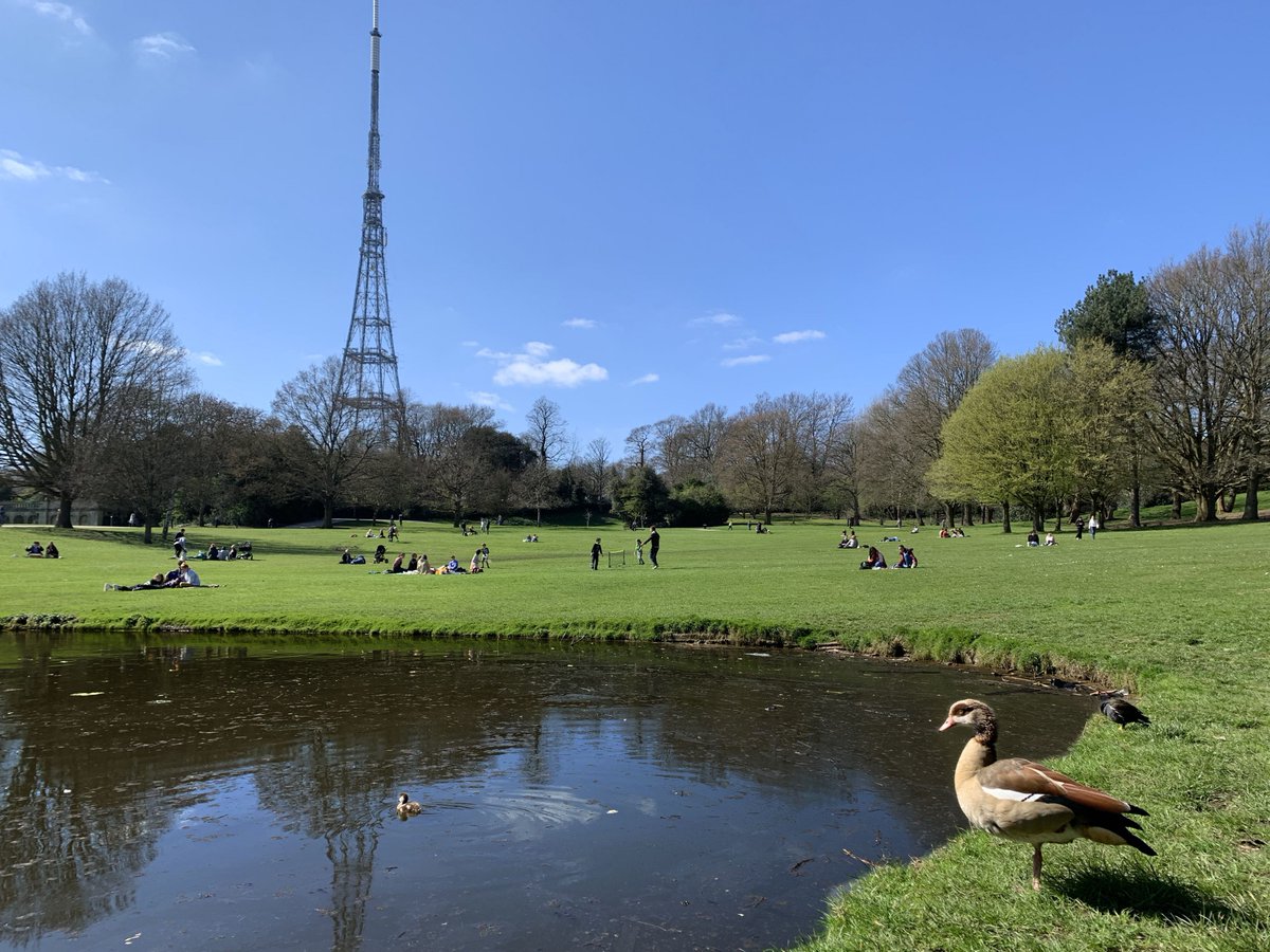 The weather's hotting up so you may be thinking about dusting off your picnic blanket & there's no better place to enjoy some al-fresco feasting than our Park! However, a polite notice not to use BBQs of any type pls for the safety & wellbeing of people & wildlife. Thank You 😊