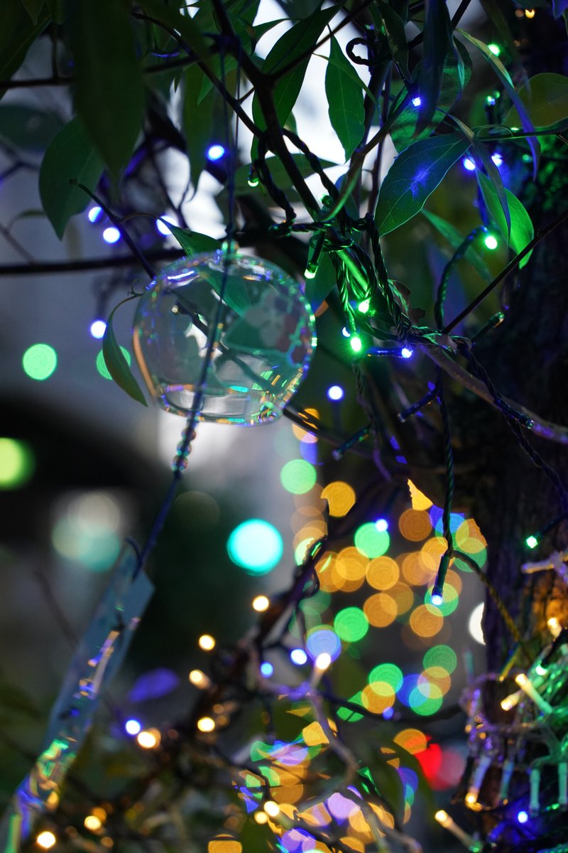 本日、関東は気温が高くなります。急な気温の変化に身体はびっくりしちゃいますよね。外出される方は、熱中症にお気をつけて。一足早いですが、風鈴の写真でちょっとでも「涼」を感じていただけたらさいわいです。