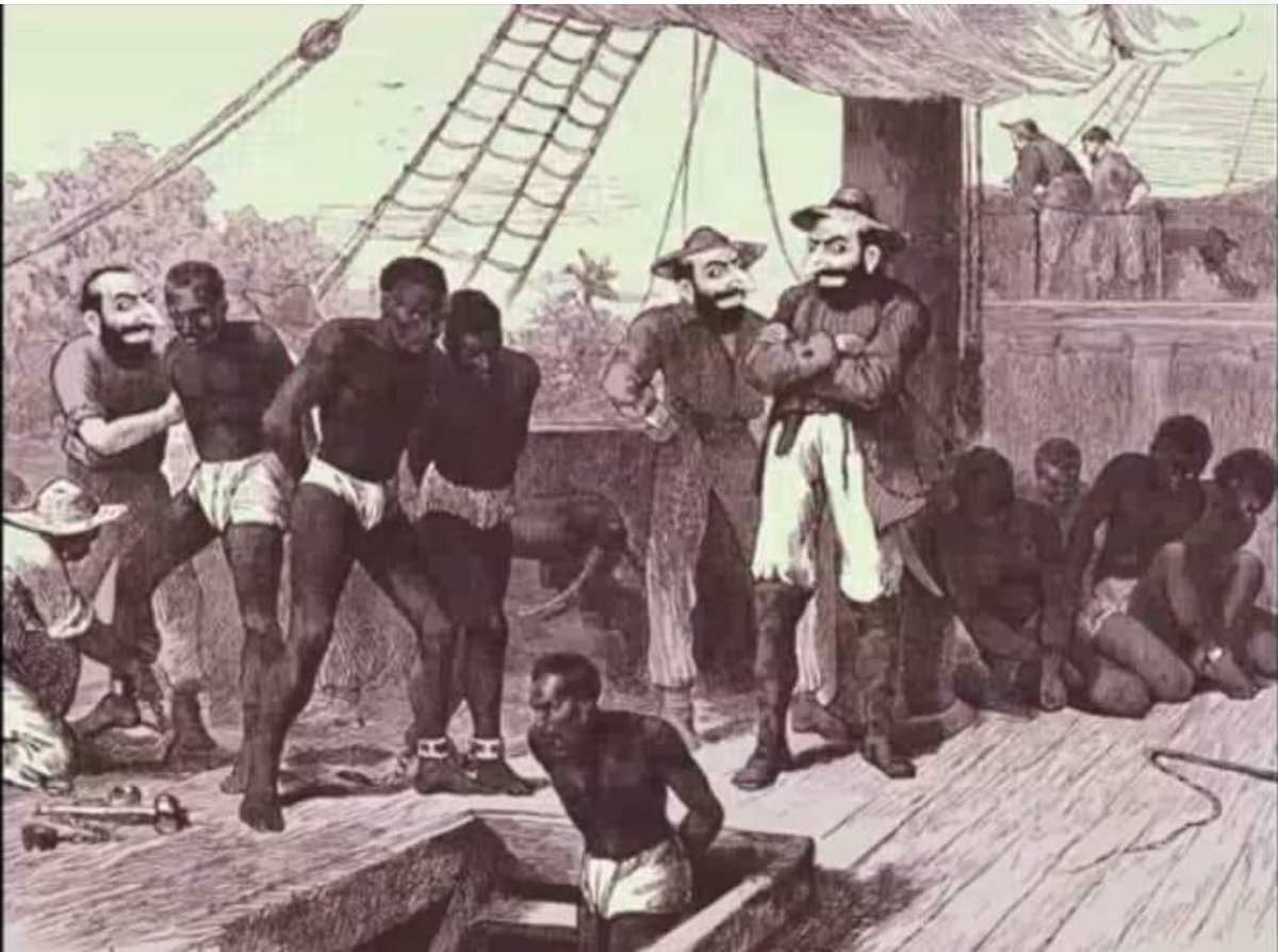 Any idea who owned the slave ships? 🤔
